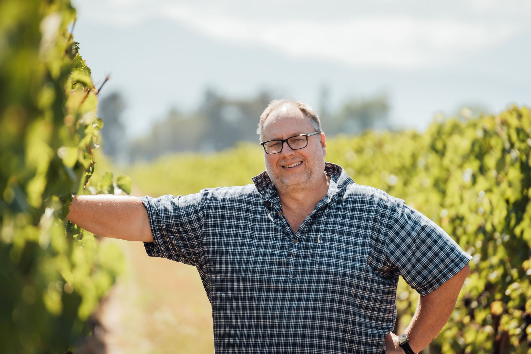 Winemakers Vintage report – 2024